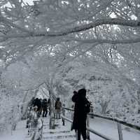 한국의 겨울산 눈꽃여행을 계획한다면 덕유산으로