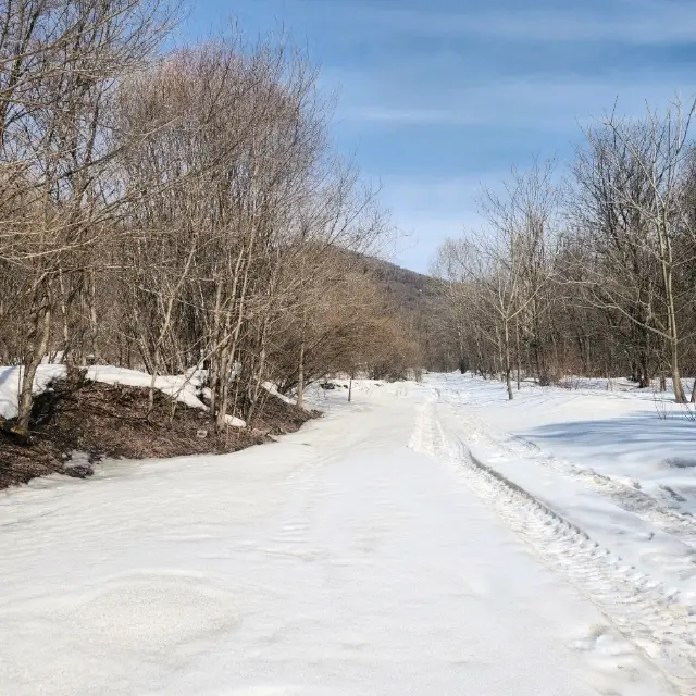 Snow valley - Yilaikezhan (harbin)