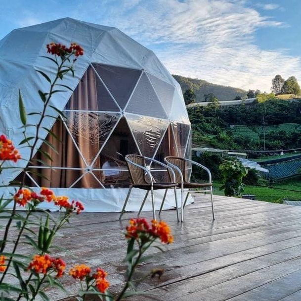A'moss Farmstay