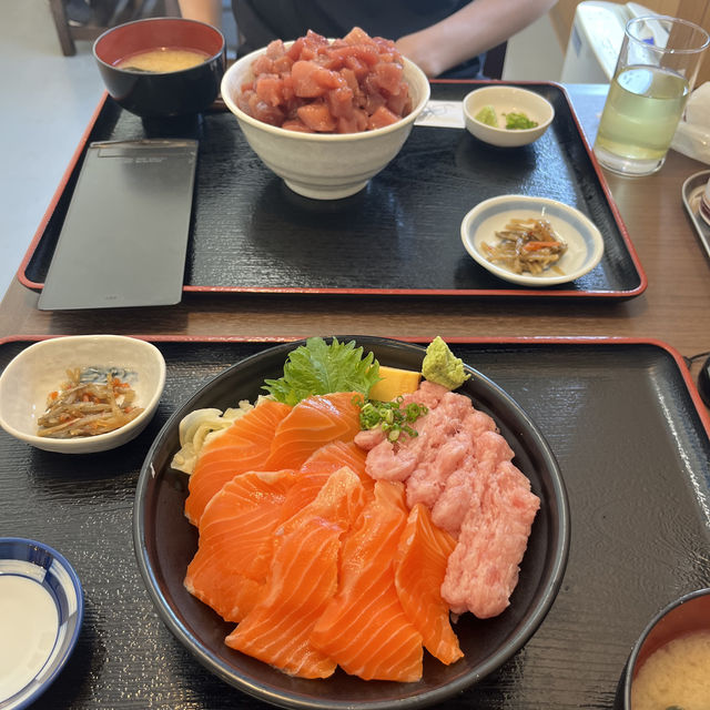 봄과 함께 하는 일본 소도시 시즈오카