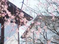 【春が満喫できる★】水神苑