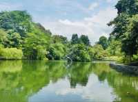 Singapore Botanic Gardens