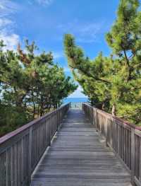 Uminonakamichi Seaside Park 