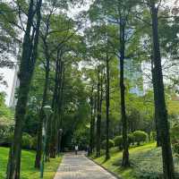 澳門花城公園：花海中的寧靜與美麗 🌺🌳