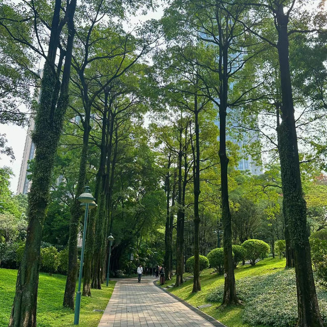 澳門花城公園：花海中的寧靜與美麗 🌺🌳