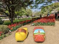 Showa Kinen Tulip Park