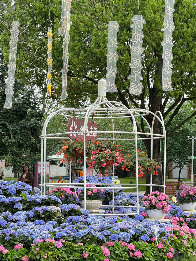 💐 Manhua Manor • Chengdu 