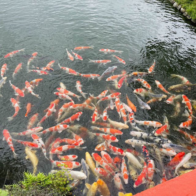 【高松】栗林公園：米其林三星景點，方便交通