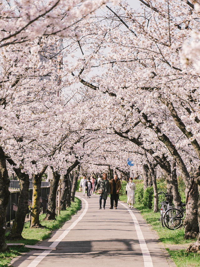 Kema Sakuranomiya Park