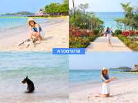 เกาะล้านทะเลสวยน่าเที่ยว