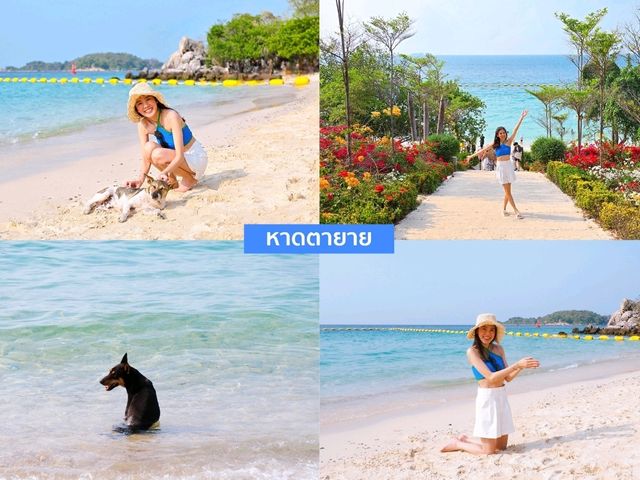เกาะล้านทะเลสวยน่าเที่ยว