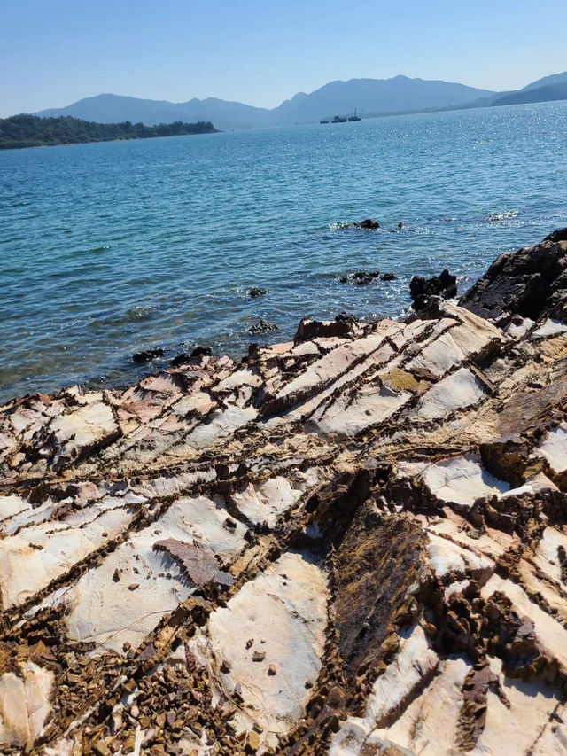 【母親節2024】探索馬屎洲地質畫廊，保護海洋生物