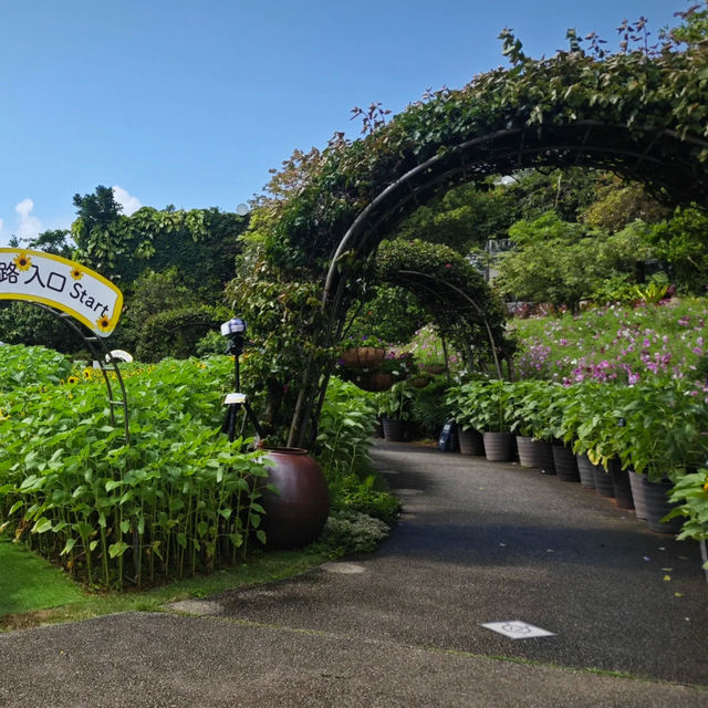 「萬葉植物園：豐富多彩的自然畫捲」