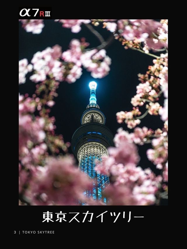 【東京】都内おすすめ写真スポット８選！FOCUS Vol.019
