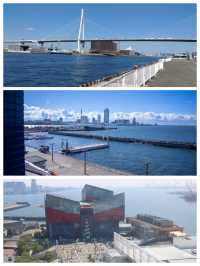 【大阪景點】海遊館：獨特設計、豐富展覽