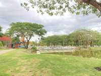 Tanawan Park สวนเดินเล่นชิล ๆ แห่งใหม่@เชียงใหม่