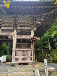 【群馬】関東の人気パワースポット⛩️榛名神社