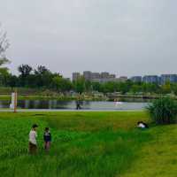 「海心沙亞運公園：自然綠洲」