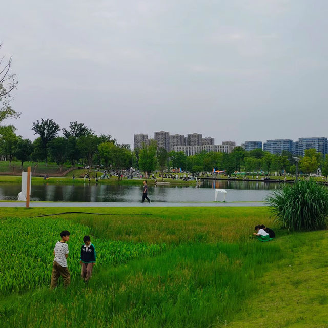 「海心沙亞運公園：自然綠洲」