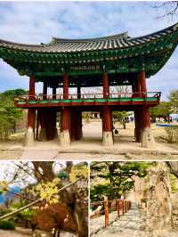 【忠清北道】南韓清風文化財園地：穿越朝鮮王朝，感受韓國傳統韻味