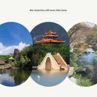 【高雄】澄清湖～荷花夢幻景緻～園林藝術之美