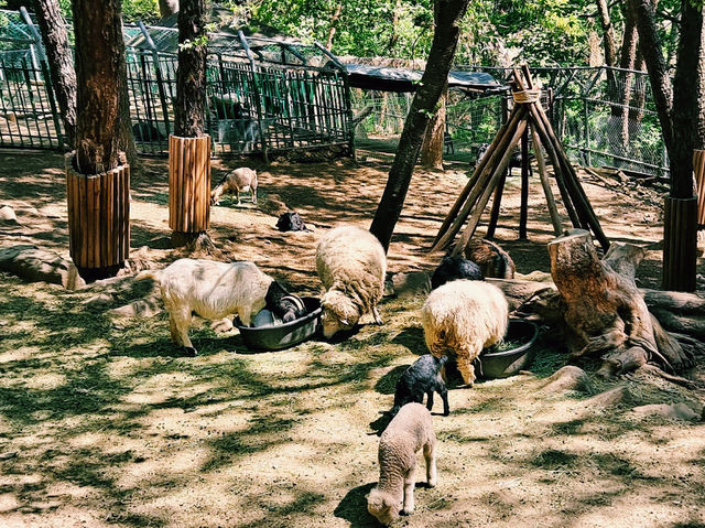 Jinyangho Zoo