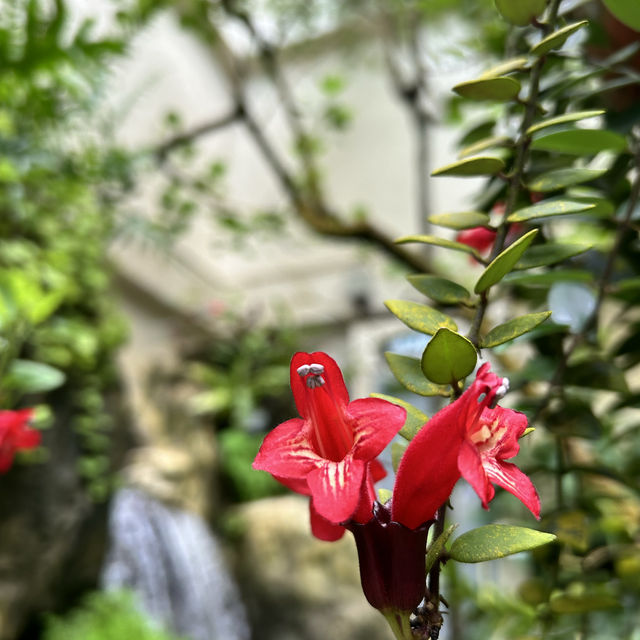 金融中心鬧市中的綠洲 - 香港公園