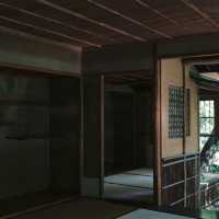 「駿府城公園：歷史與自然美景，四季美景適合漫步」