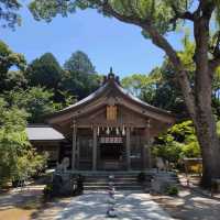 寶滿宮 竈門神社 六月有機會看到繡球花季