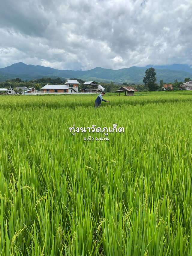19 พิกัดเที่ยวน่าน | ฤดูฝน ⛰️🌧️🌾🌳