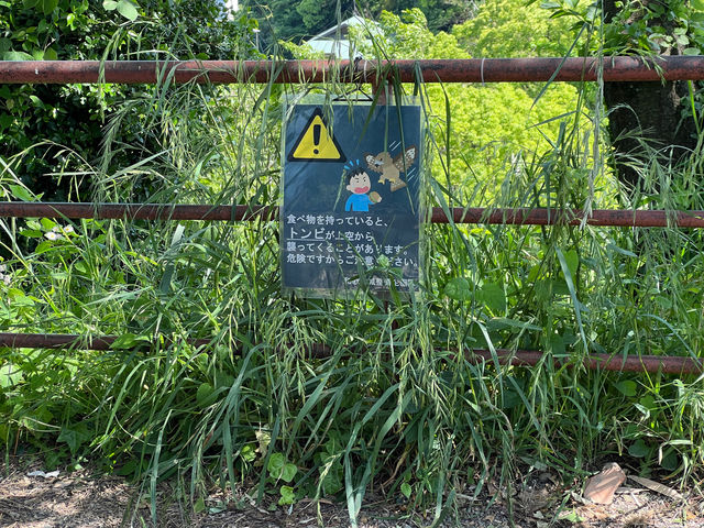 和歌山城 日本城堡 日本名城 