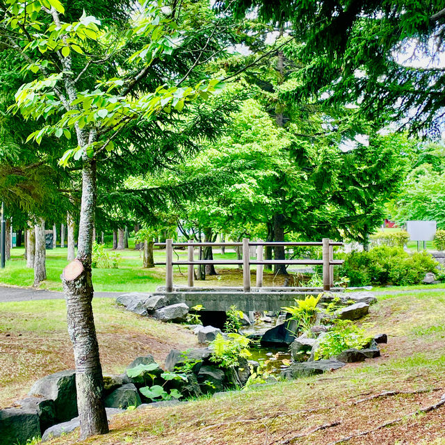 Art and Nature in Harmony