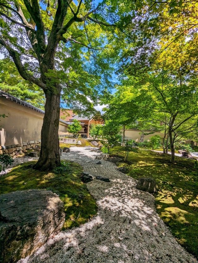 日本京都-一代茶聖千利休設計的庭園：大德寺黃梅院