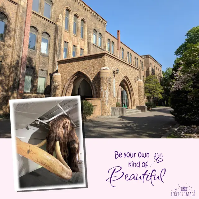 北海道大學內參觀遊