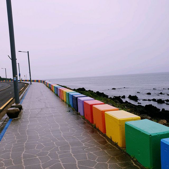 🏖여름엔 시원한 제주 순옥이네 물회🧊