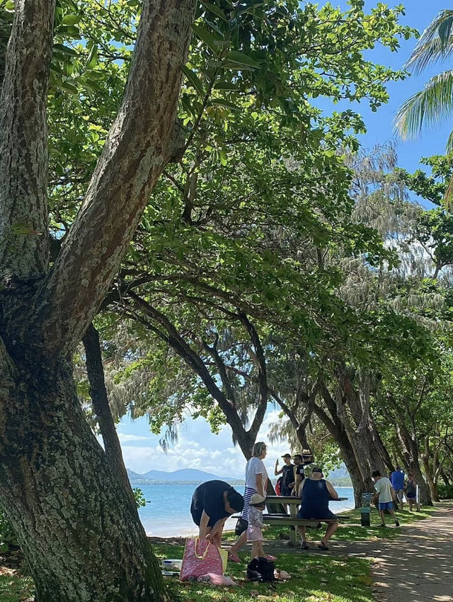 Palm cove