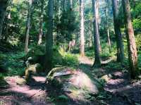 Ichijodani Mountain Castle Ruins