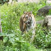 【北海道/旭川　動物達の行動を間近で見られる工夫を凝らした動物園】