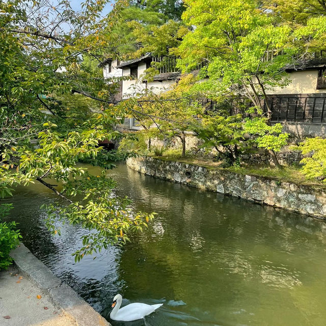 柳川⛲️水鏡畫捲