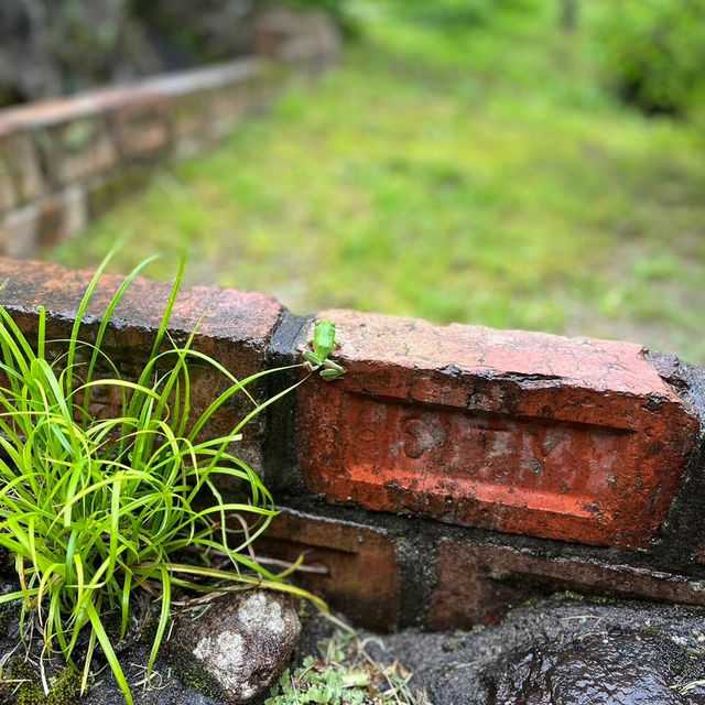【湯布院】由布岳が見える静かなお宿