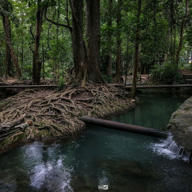 น้ำใส ไหลเย็น น้ำผุดทัพลาว ชัยภูมิ
