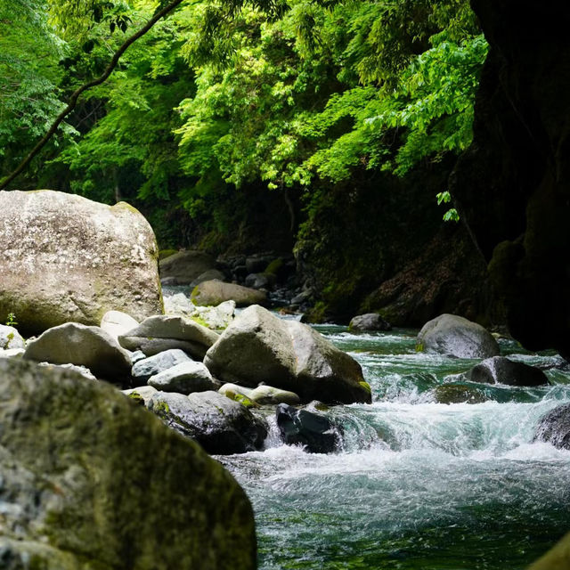 梅溪營地：迷人自然風光