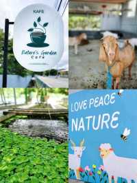 An interesting cafe with petting animals & nature environment in Muar