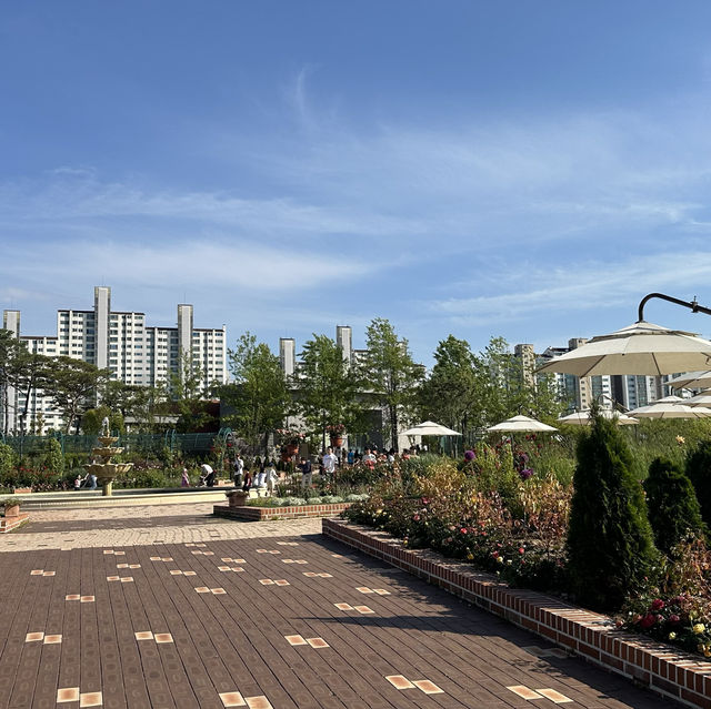 《水原》 あの大ヒットドラマの撮影地！일월수목원　💐