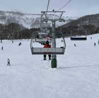 Niseko Japan ลานสกีที่โด่งดัง หิมะนุ่ม
