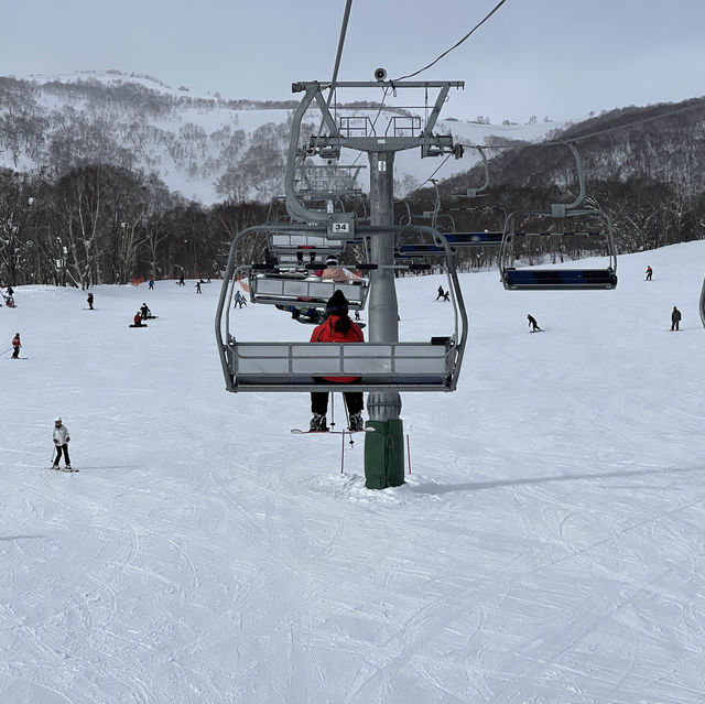 Niseko Japan ลานสกีที่โด่งดัง หิมะนุ่ม