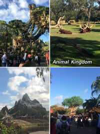 Endless Fun at Walt Disney World in Orlando, Florida 🇺🇸