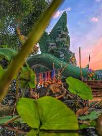 วัดป่าคลอง ๑๑ 🙏 