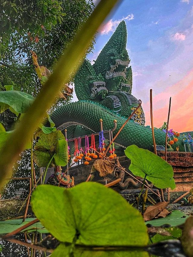 วัดป่าคลอง ๑๑ 🙏 
