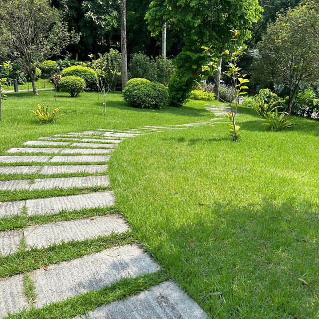 湖南省植物園：綠意盎然